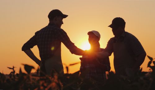 New Year Preparation for Farmers