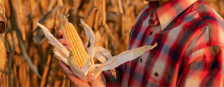 Crop Production Reporting Time